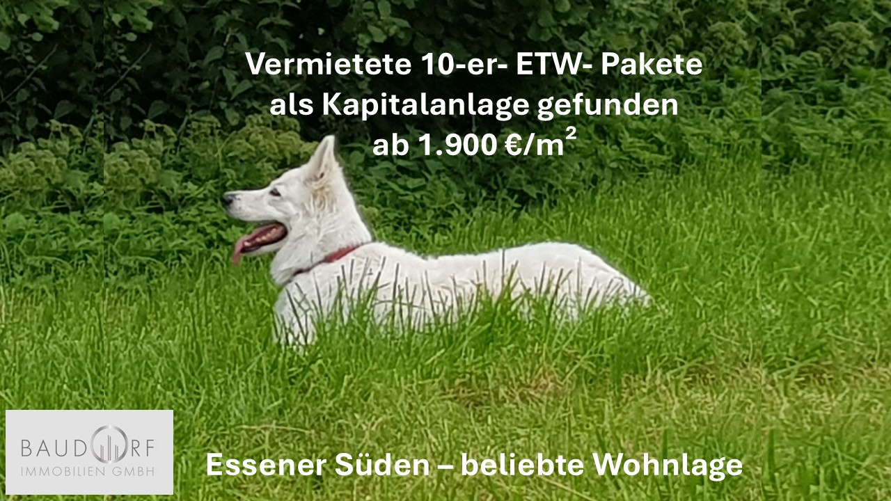 Essener Süden: ETW- Pakete ab 10 Wohneinheiten
